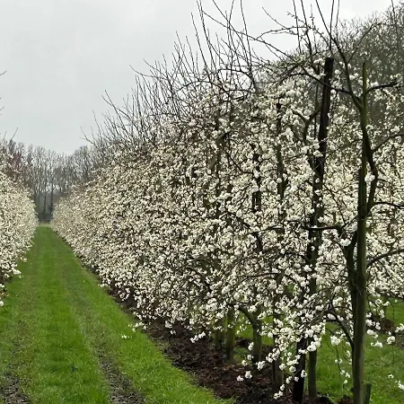 Appartement Guests Uilehoeve Zennewijnen